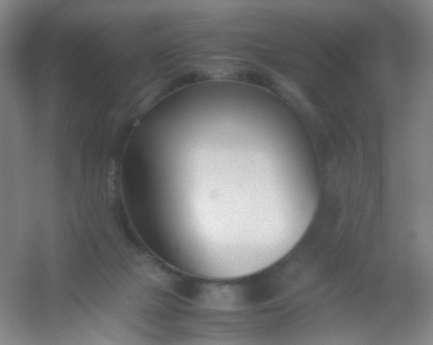 X0000054430073200508121829