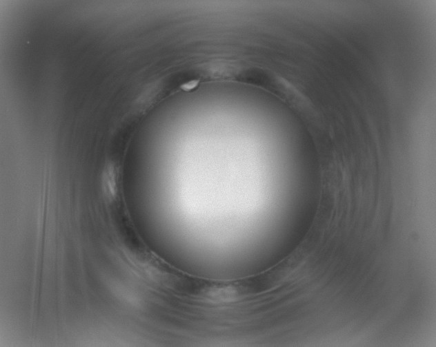 X0000054430075200508121829