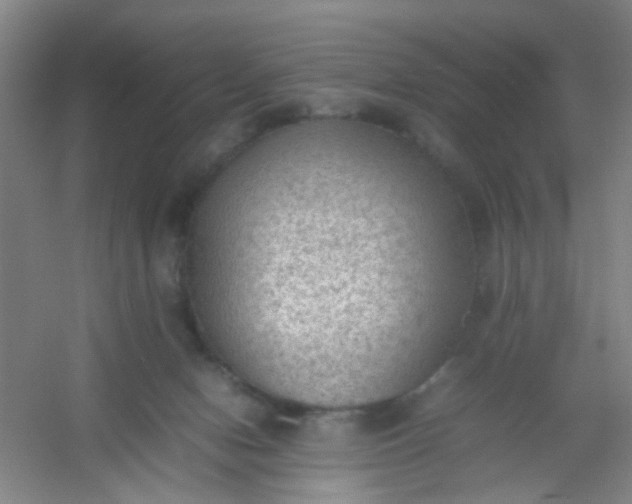 X0000054430078200508121829