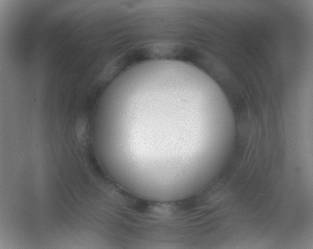 X0000054430079200508121829