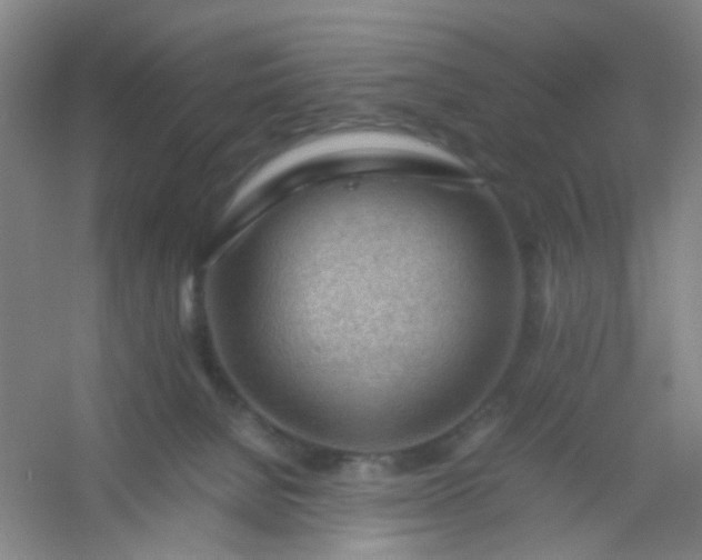 X0000054430080200508121829