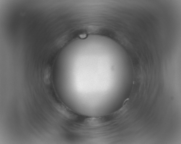 X0000054430082200508121829