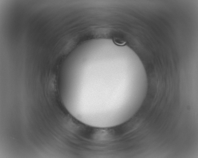 X0000054430083200508121829