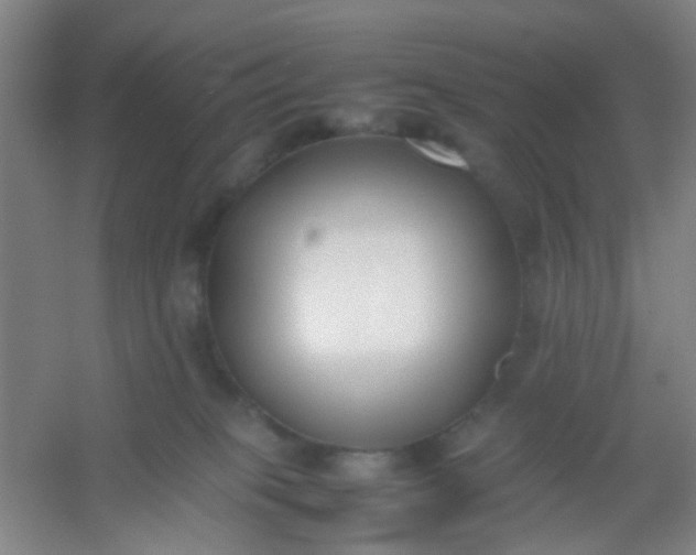 X0000054430085200508121830