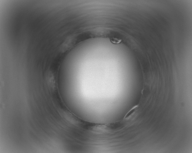 X0000054430086200508121830