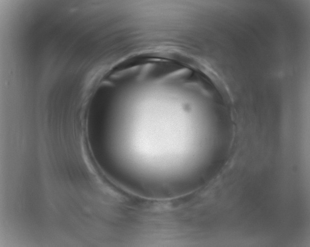 X0000054430097200508121829