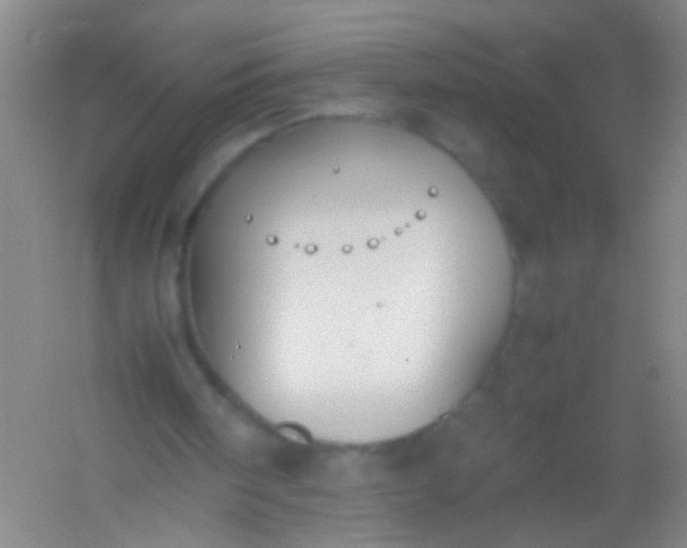 X0000054430098200508121829