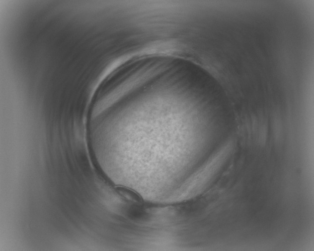 X0000054430100200508121829