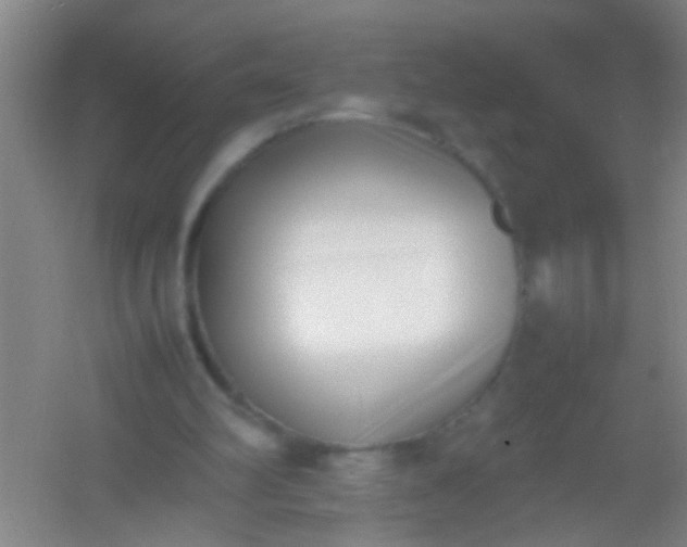 X0000054430102200508121829