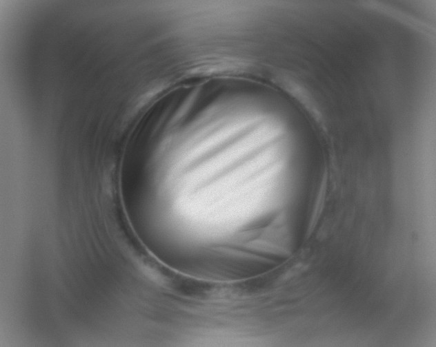 X0000054430105200508121829