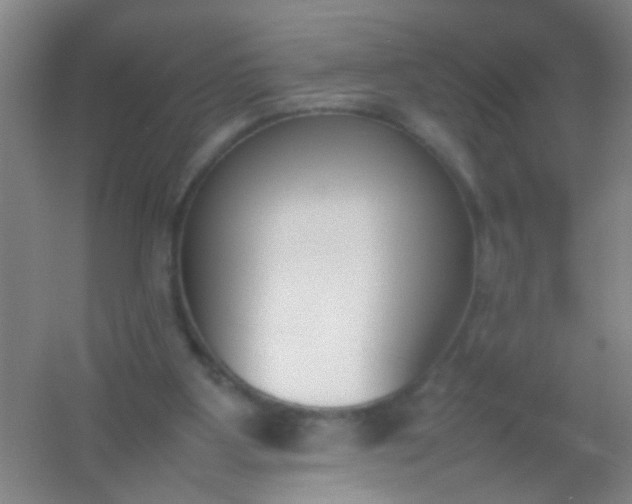 X0000054430107200508121829