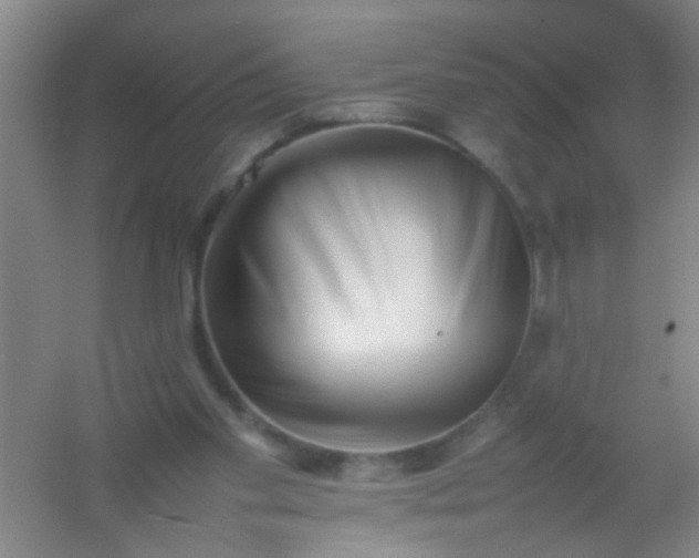 X0000054430109200508121829