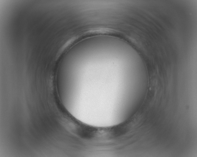 X0000054430111200508121829