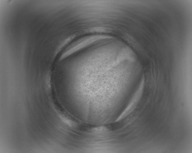 X0000054430112200508121829