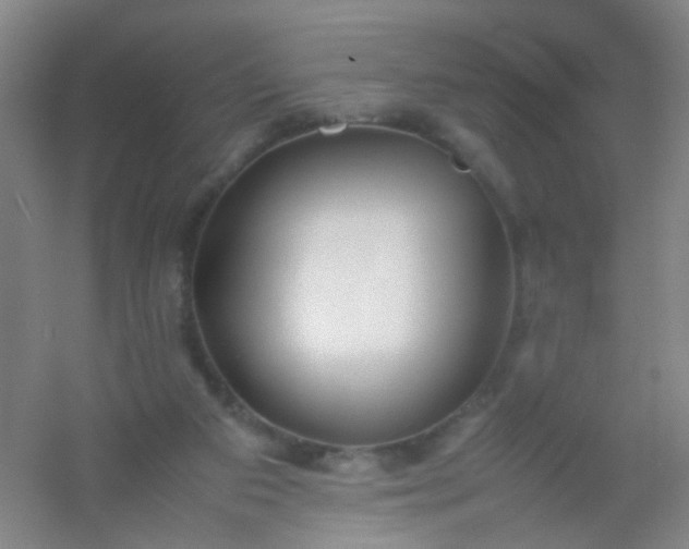 X0000054430113200508121829