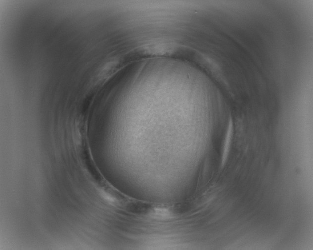 X0000054430114200508121829