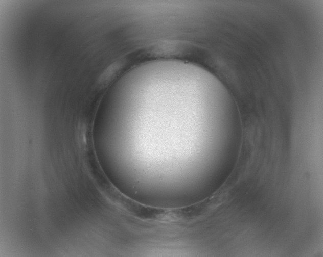 X0000054430115200508121829