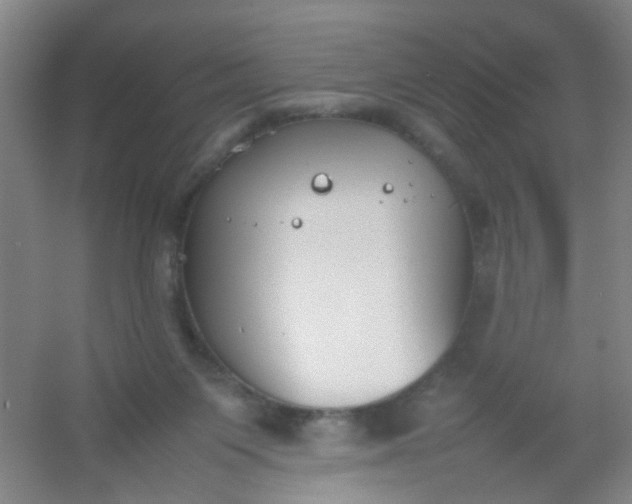 X0000054430119200508121829