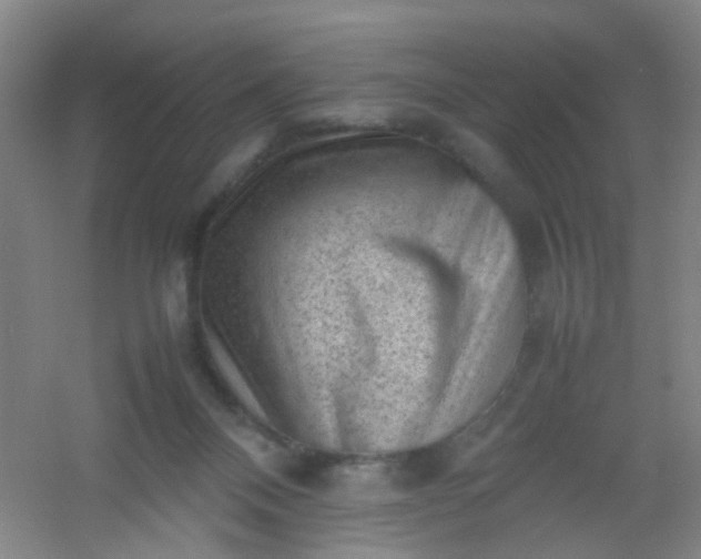 X0000054430120200508121828