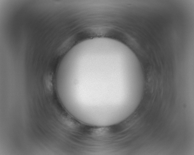 X0000054430122200508121828