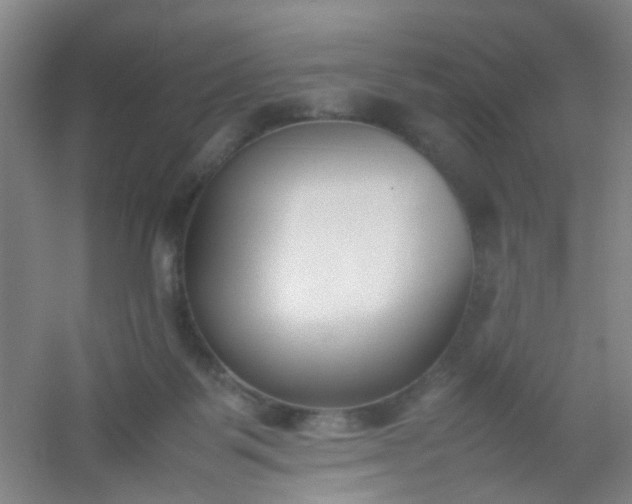 X0000054430123200508121828