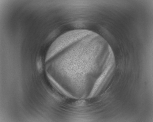 X0000054430124200508121828