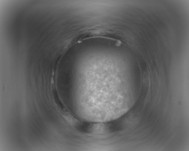 X0000054430127200508121828