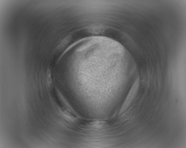 X0000054430128200508121828