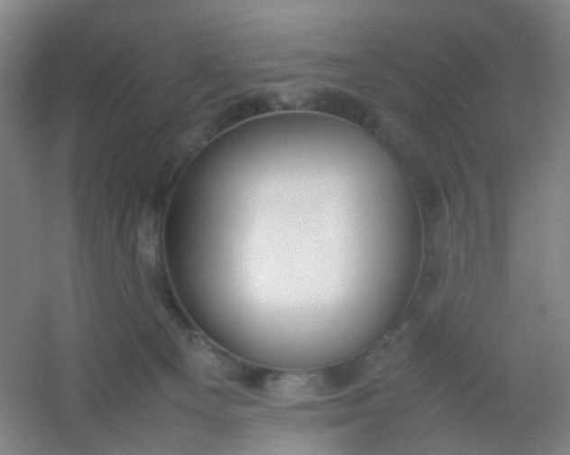 X0000054430129200508121828