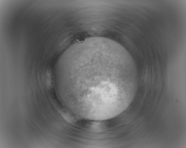 X0000054430130200508121828