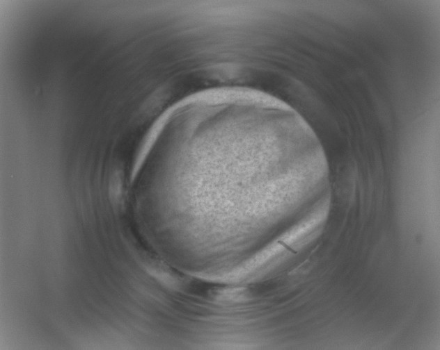 X0000054430132200508121828