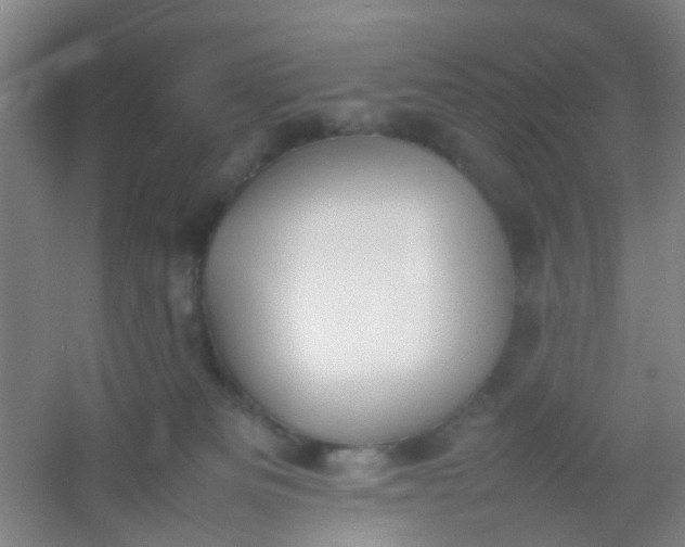 X0000054430133200508121828