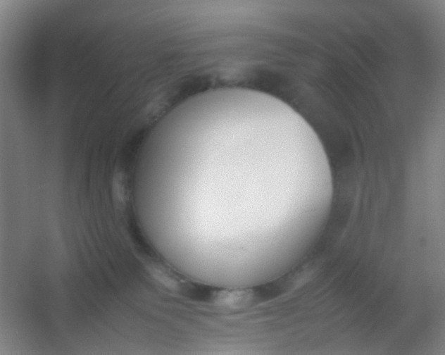 X0000054430135200508121828