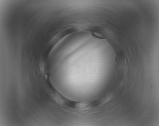 X0000054430139200508121828