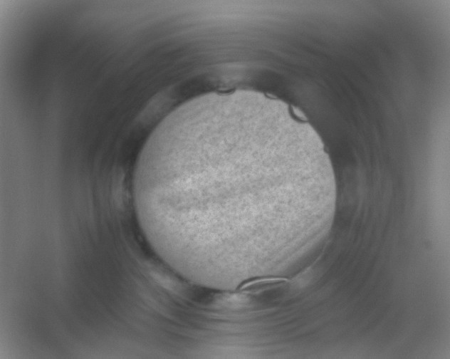 X0000054430140200508121828