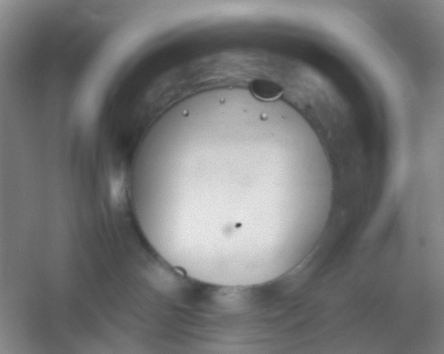 X0000054430142200508121828