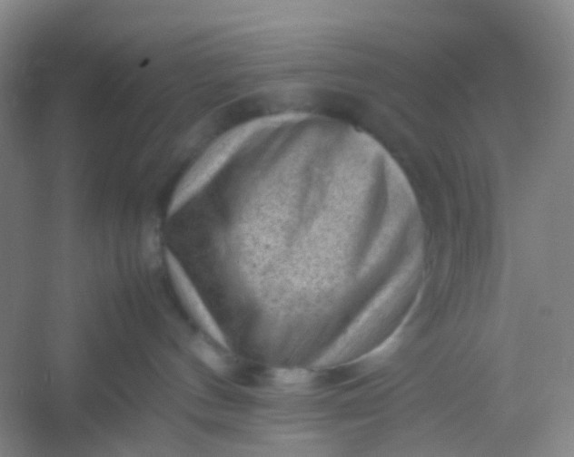 X0000054430144200508121828