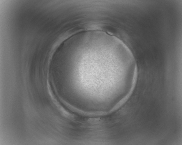 X0000054430145200508121827