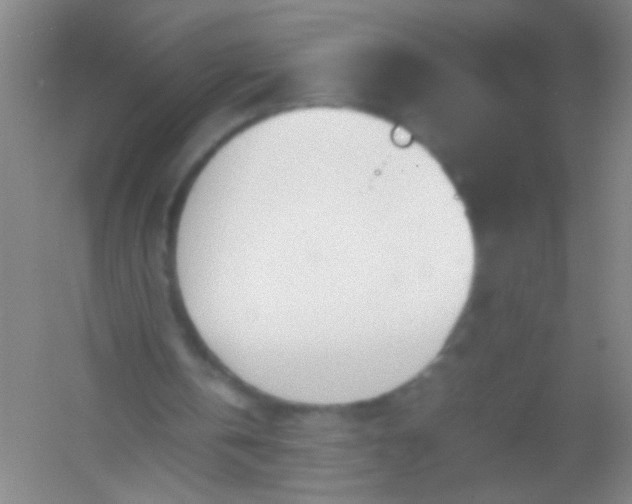 X0000054430146200508121827