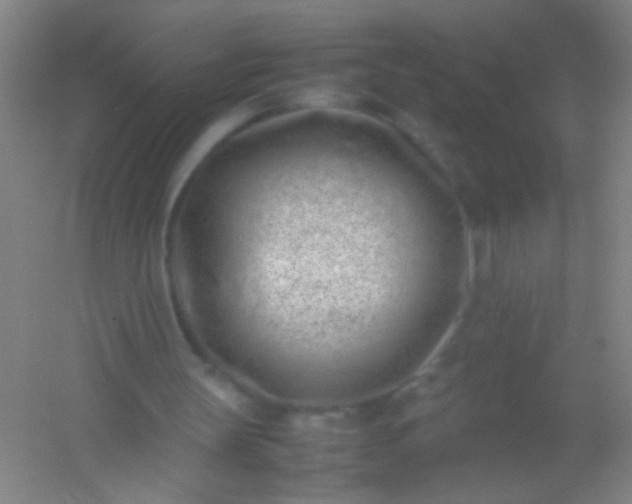 X0000054430147200508121827