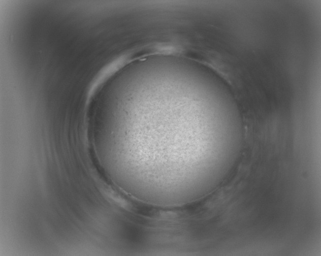 X0000054430149200508121827