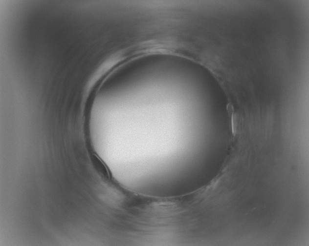 X0000054430150200508121827