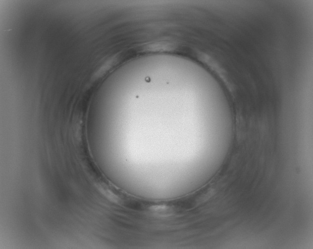 X0000054430153200508121827