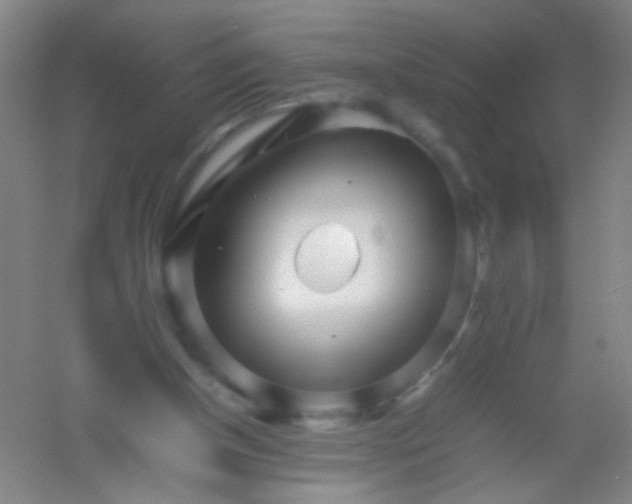 X0000054430154200508121827