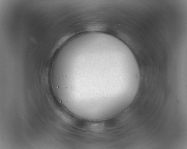 X0000054430155200508121827