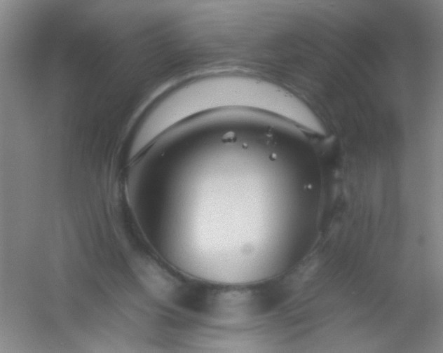 X0000054430156200508121827