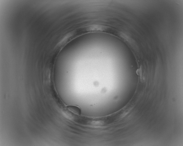 X0000054430157200508121827