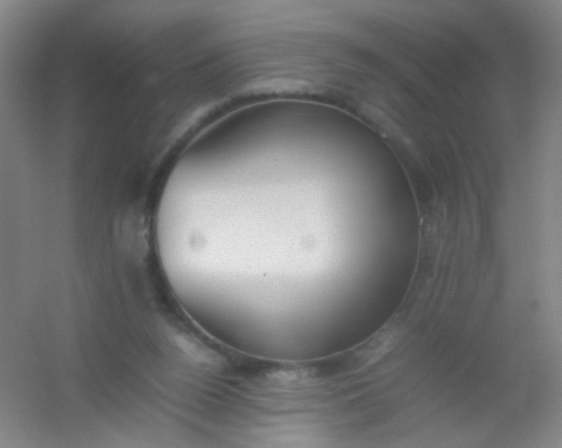 X0000054430160200508121828