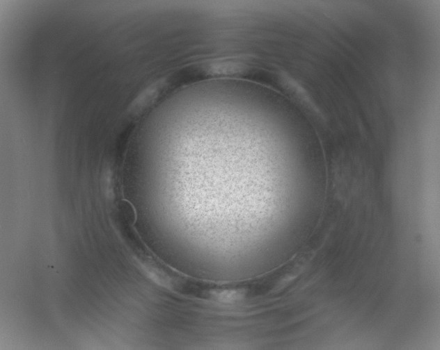 X0000054430161200508121828