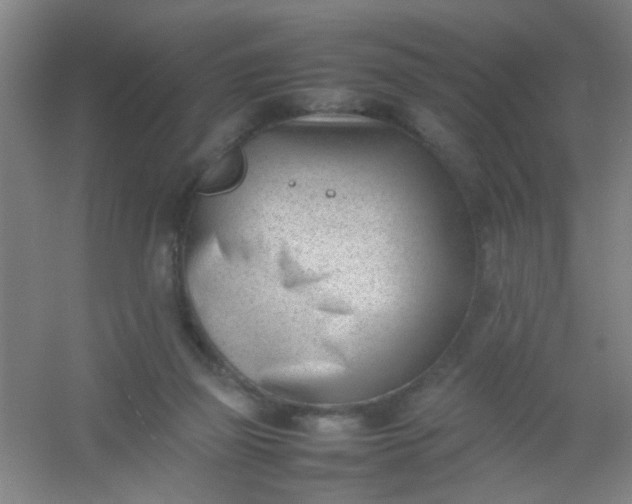 X0000054430165200508121828